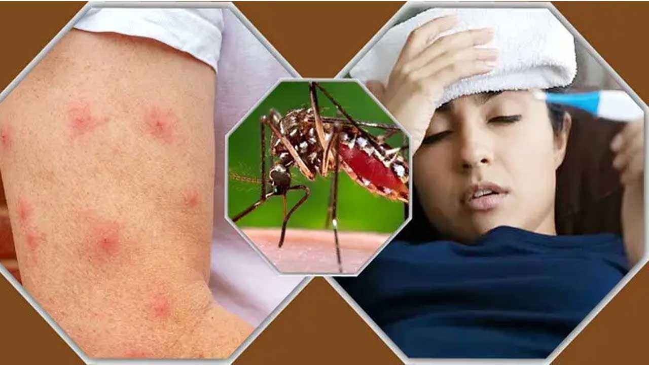 সংগৃহীত