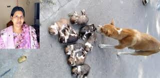 সংগৃহীত