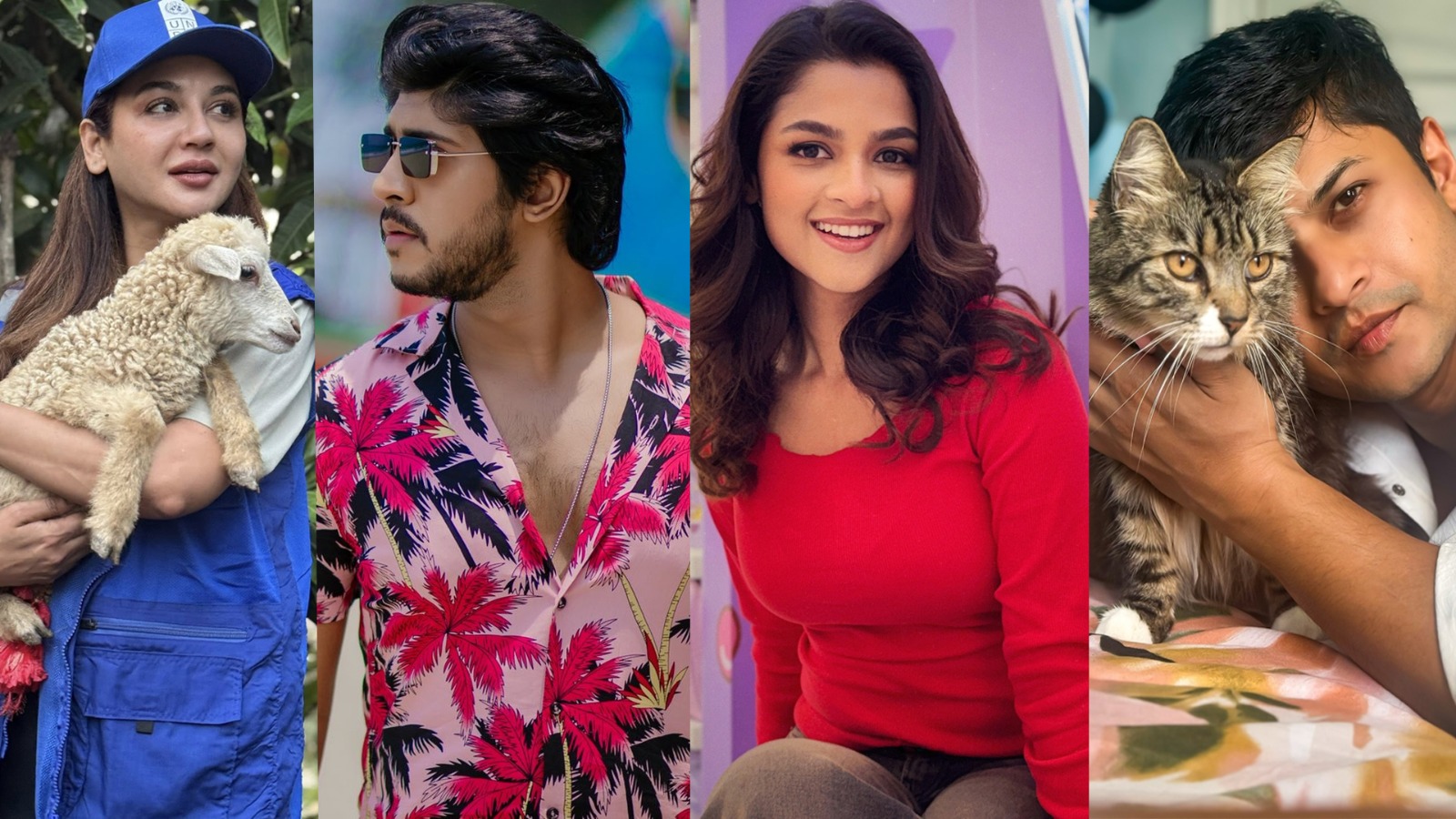 সংগৃহীত