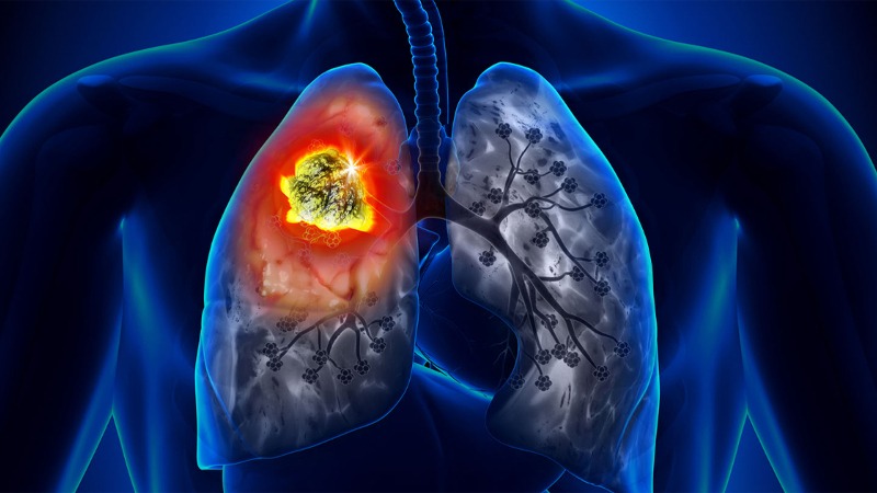 সংগৃহীত