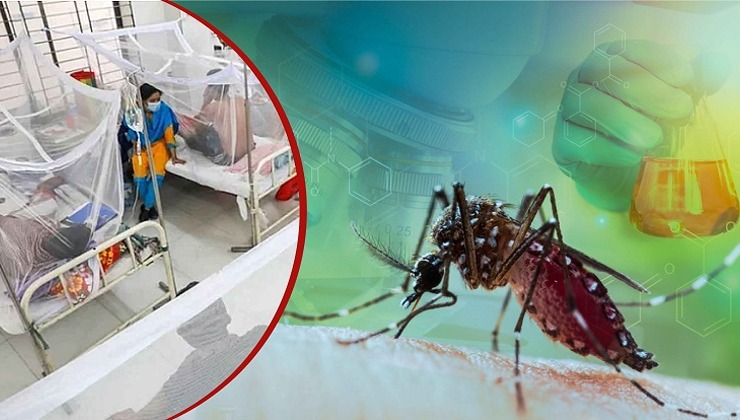 সংগৃহীত