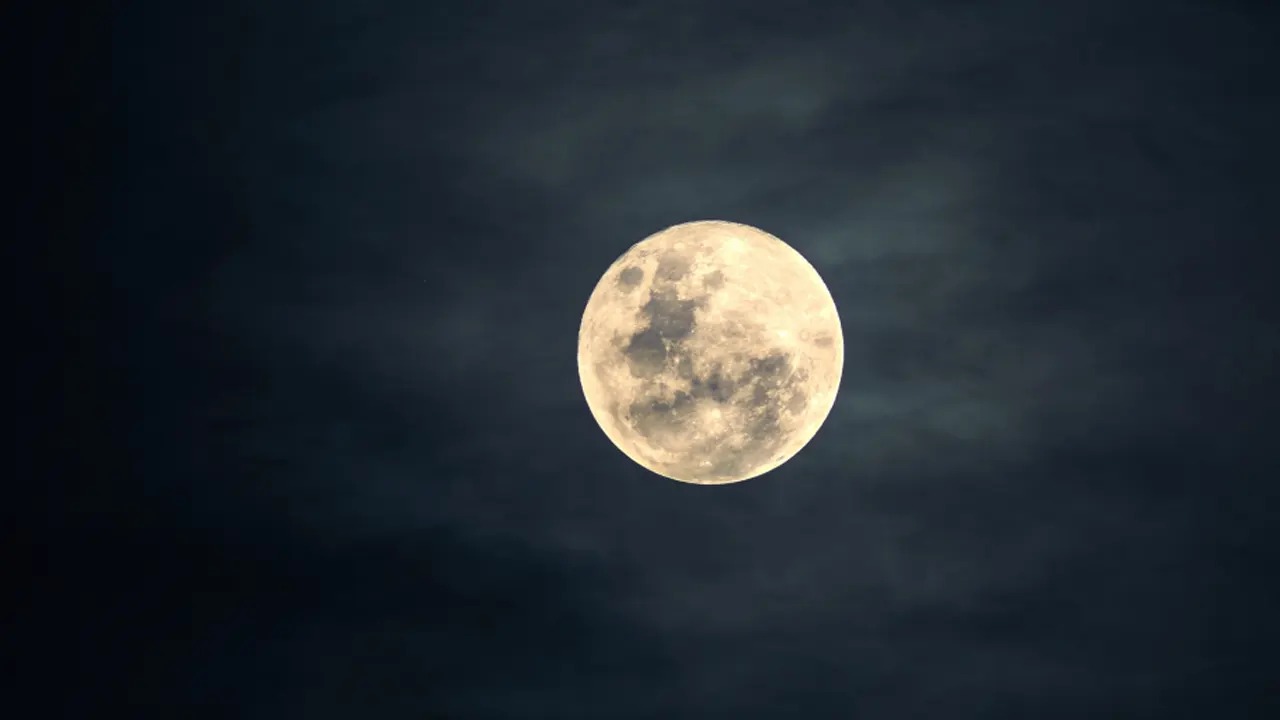 সংগৃহীত