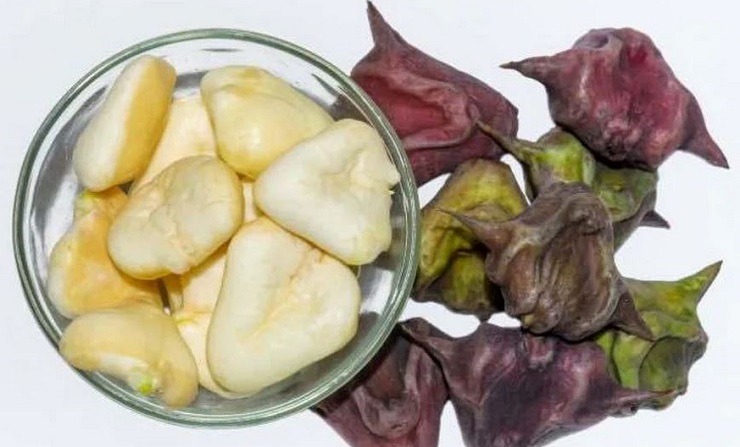 শীতের সুস্বাদু ও স্বাস্থ্যকর ফল: পানিফল খাদ্য ও সৌন্দর্যের পূর্ণাঙ্গ উৎস