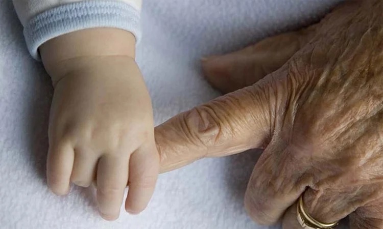 সংগৃহীত