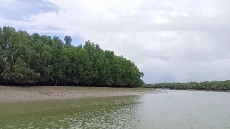মুক্তিপনের দাবীতে সুন্দরবনে ৭ জেলেকে অপহরণ করেছে বনদস্যু ডন বাহিনী