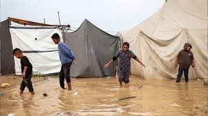 সংগৃহীত