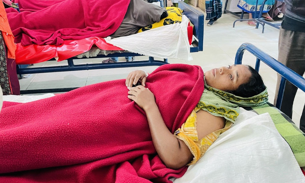 সংগৃহীত