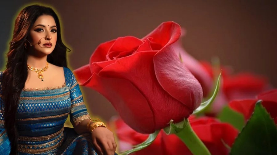 সংগৃহীত