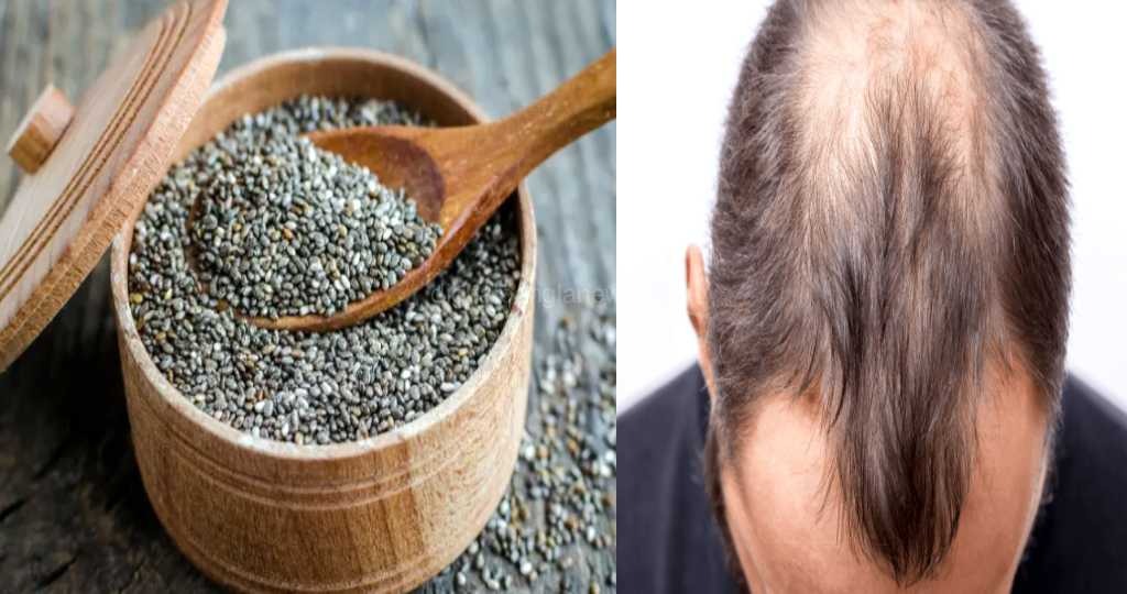 চুল ও ত্বকের জন্য উপকারী চিয়া সিড, জানুন কখন খেলে সর্বোচ্চ ফল পাবেন