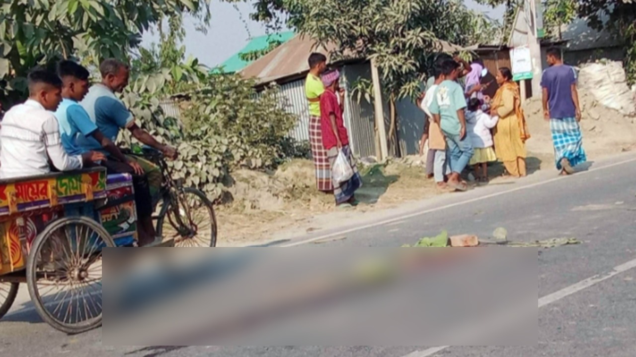 ধুনটে সিমেন্টবোঝাই ট্রাকের চাপায় মা-মেয়ে নিহত