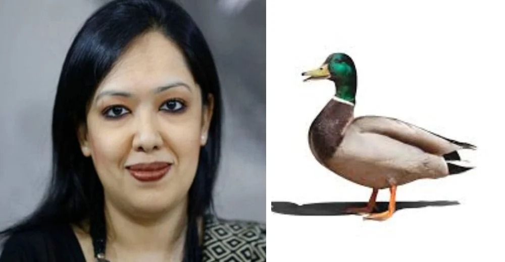 ‘হাঁস’ প্রতীক পেলেন স্বতন্ত্র প্রার্থী রুমিন ফারহানা