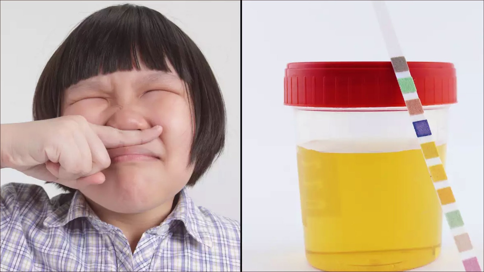 প্রস্রাবের দুর্গন্ধ?  কখন স্বাভাবিক, কখন সতর্ক হওয়া জরুরি জানুন