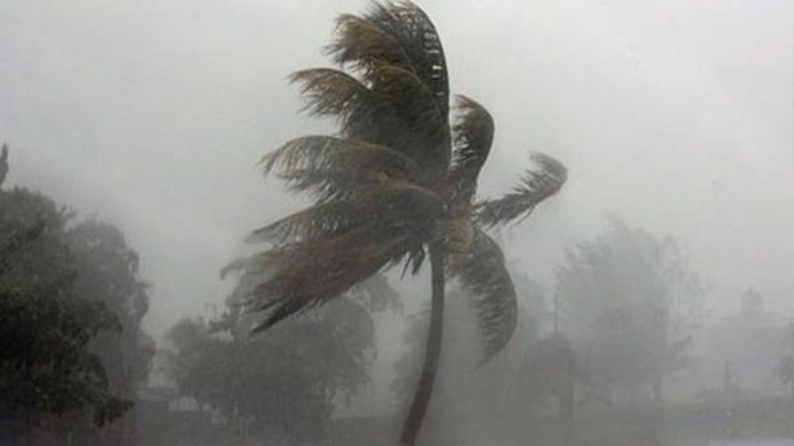 দেশের ৮ জেলায় ঘণ্টায় ৬০ কিমি বেগে ঝড়ের সম্ভাবনা, সতর্কবার্তা জারি