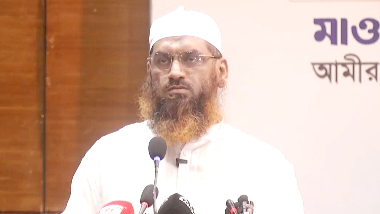 “সরকারকে শেখ হাসিনার ভূতে ধরেছে”—মামুনুল হক