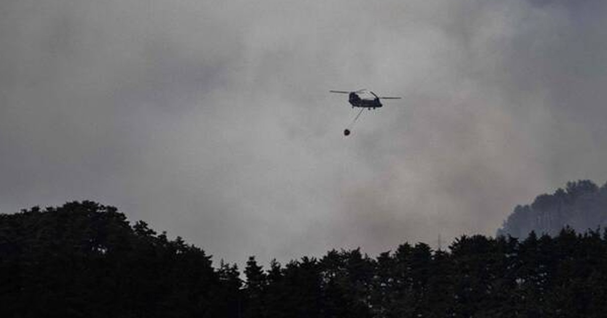 জাপানের ইওয়াতে অঞ্চলে ভয়াবহ দাবানল