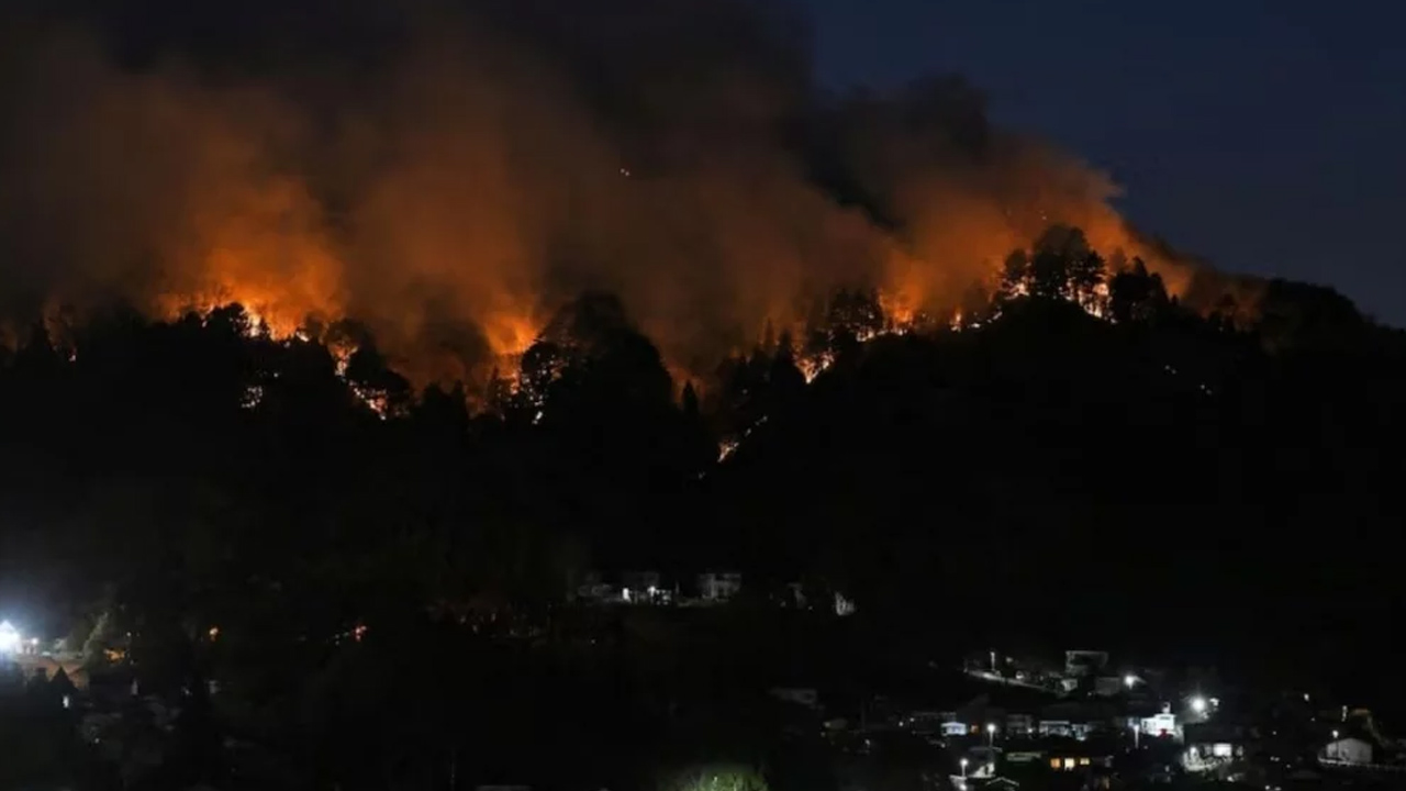 ৪ দিনেও নিয়ন্ত্রণে আসেনি জাপানের দাবানল, ভস্মীভূত ২ হাজার একর বনভূমি