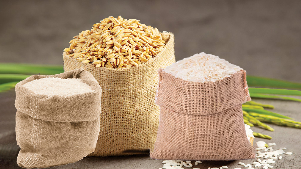 দ্রুত আমদানির উদ্যোগ: ৩ লাখ টন চাল ও ৩ লাখ টন গম কিনতে সময়সীমা কমাল সরকার