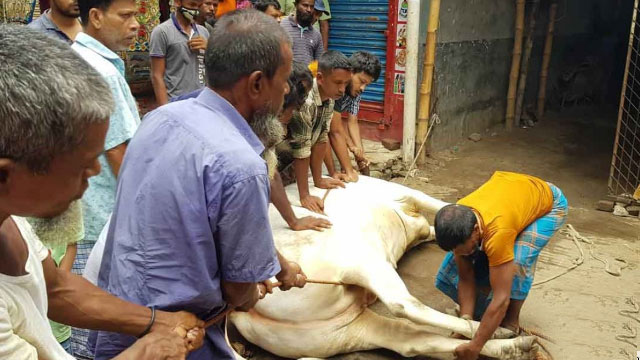 ফাইল ছবি