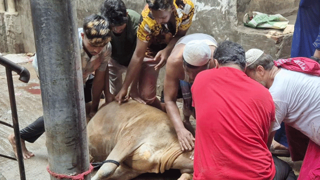 ছবি: সংগৃহীত