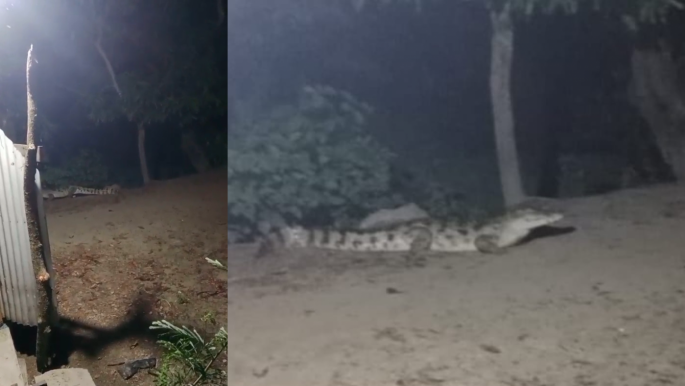 সংগৃহীত