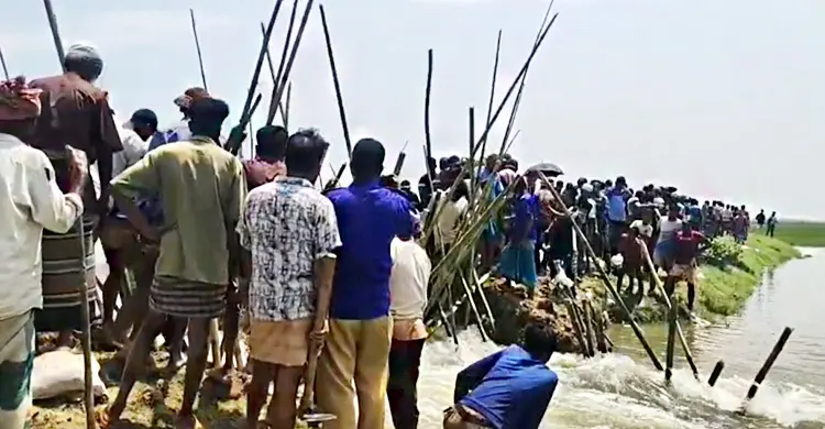 বাঁধ ভেঙে সুনামগঞ্জের এরনবিল হাওরে পানি ঢুকছে, ফসল ঝুঁকিতে