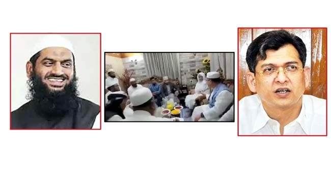 সালাহউদ্দিন ও মামুনুলের উর্দু ভাষায় আলাপচারিতার ভিডিও ভাইরাল