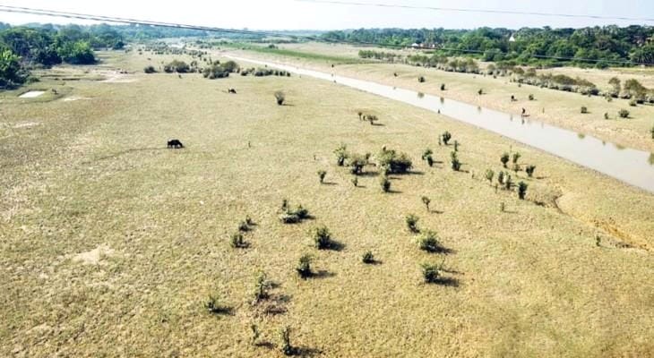 শৈলমারী নদী এক সময় প্রবল খরস্রোতা হিসেবে পরিচিত থাকলেও বর্তমানে তা পরিণত হয়েছে নালায় | ছবি: এস কে বাপ্পি