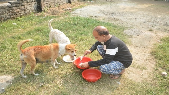 মানবিক ইঞ্জিনিয়ার: পেনশন দিয়ে ৪ কিমি হেঁটে কুকুরদের খাবার দেন!