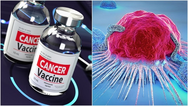 সংগৃহীত