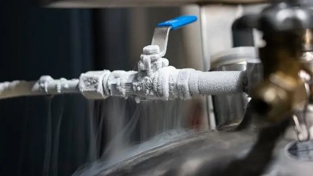 সংগৃহীত