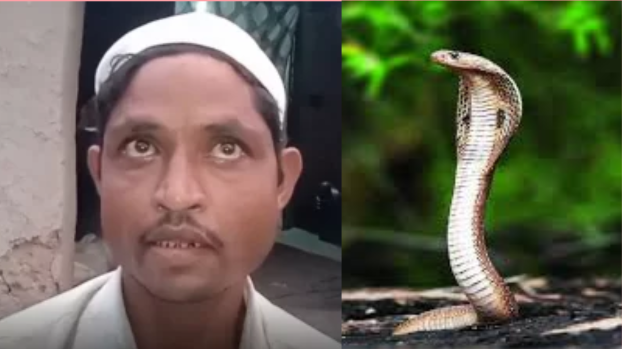স্বামী মেরাজের অভিযোগ স্ত্রী নাসিমুন প্রতি রাতে সাপের রূপ ধারণ করেন এবং তাকে কামড়ানোর চেষ্টা করেন। ছবি: সংগৃহীত