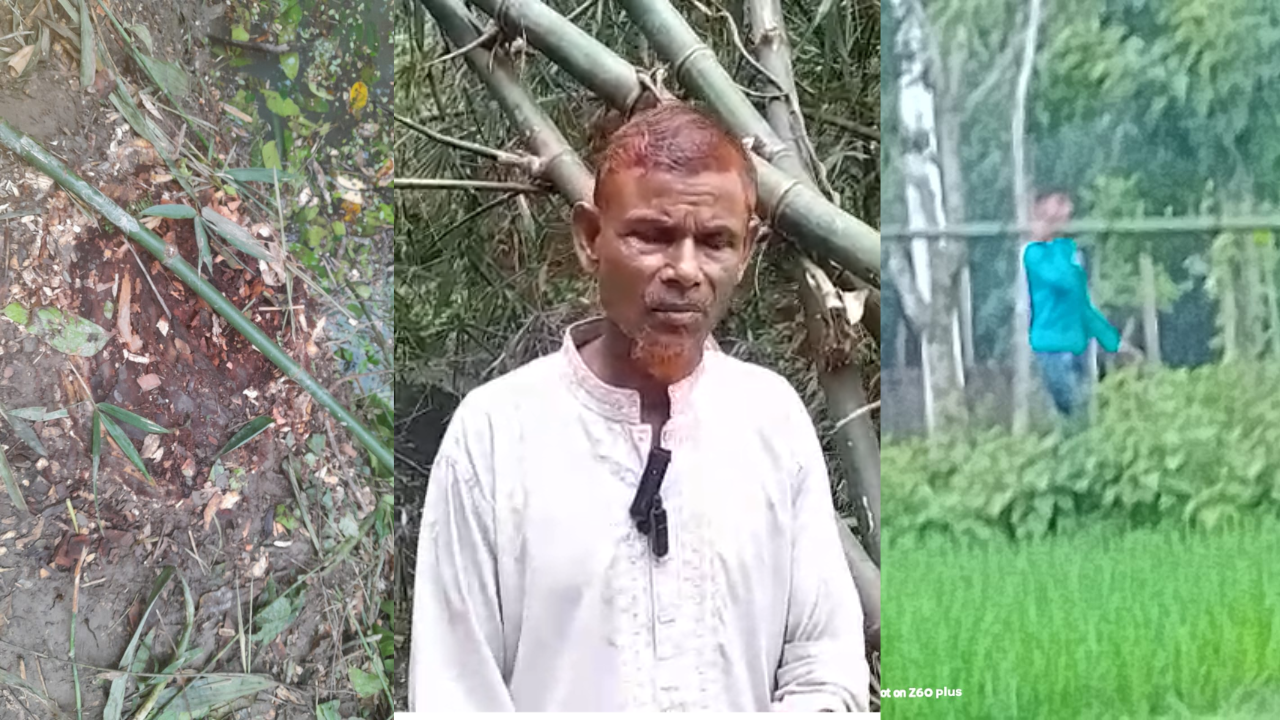 ছবি: সংগৃহীত