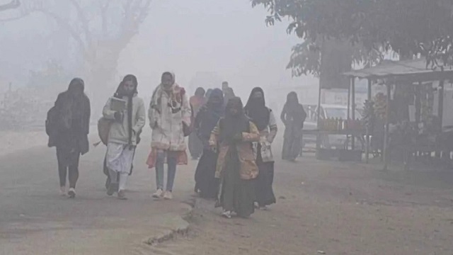 সংগৃহীত