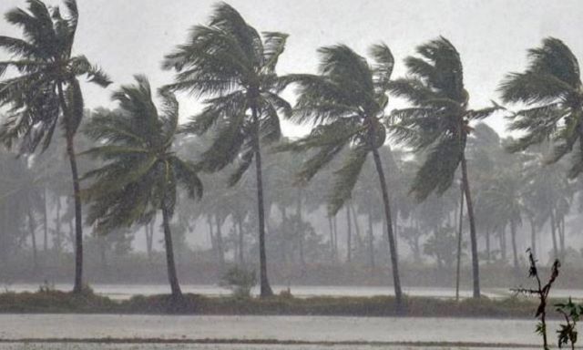 ছবি:সংগৃহিত