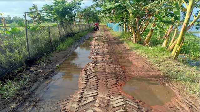 কোটালীপাড়ায় সড়কে বেহাল দশা, জনদূর্ভোগ চরমে