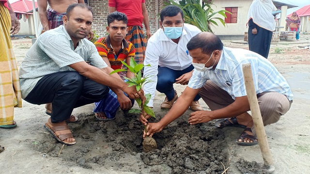 কোটালীপাড়ায় বৃক্ষরোপণ কর্মসূচি