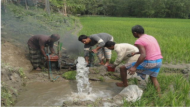 কুষ্টিয়ায় পদ্মার পানির স্তর নিচে নামায় আবারও সেচ প্রকল্পে সরবরাহ বন্ধ, দিশেহারা কৃষক