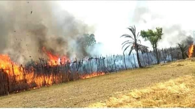 ঝিনাইদহে পুড়ে গেল ২৫ পান চাষির ১০ বিঘা বরজ