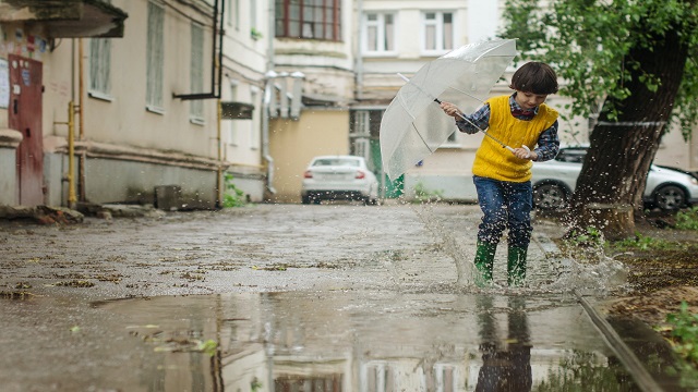 রোদে - বরষায় ছাতা