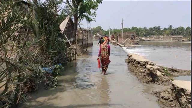 জোয়ারের তোড়ে ভেসে গেছে ধান ক্ষেত, মাছের ঘের