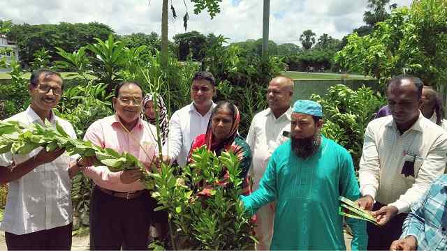 করোনা সহিষ্ণু খাদ্যাভ্যাস গঠনে চাষাবাদ বিষয়ক প্রশিক্ষণ, বীজ ও চারা বিতরণ