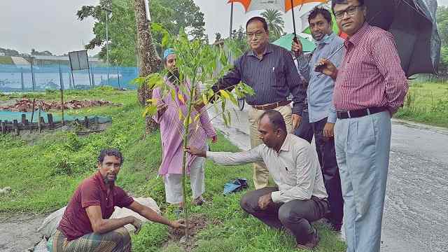 রাস্তার দুই পাশে বারোমাসি সীম ও আমড়া গাছ রোপন