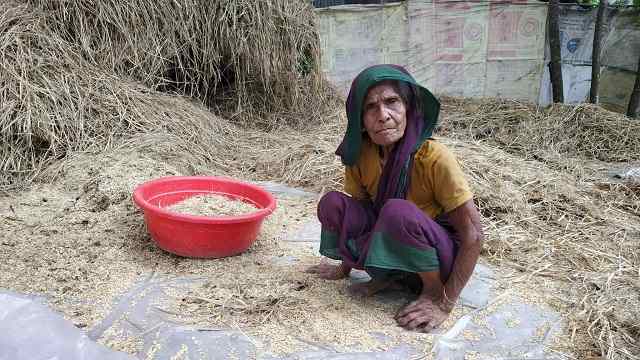 বৃদ্ধভাতা পেতে শতবর্ষী হামিদাকে আর কত বড় হতে হবে