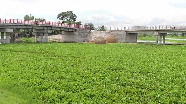 জোড়া সেতুতে বদলে গেছে ৩ গ্রামের জীবনযাত্রার মান