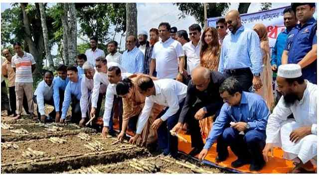 চুয়াডাঙ্গায় আখের উৎপাদন বৃদ্ধি প্রকল্প পরিদর্শন: শিল্প সচিব