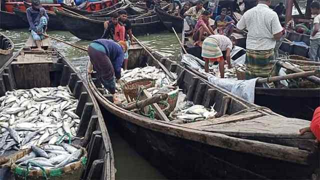 বঙ্গোপসাগরে ঝাঁকে ঝাঁকে ইলিশ