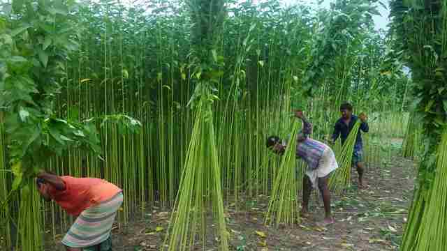 সংগৃহীত