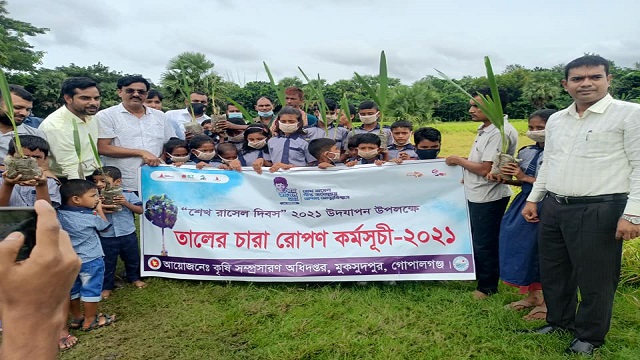 মুকসুদপুরে শেখ রাসেলের জন্মদিনে তালের চারা রোপণ