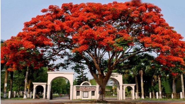 ইবিতে সশরীরে ক্লাস শুরু ২০ অক্টোবর থেকে