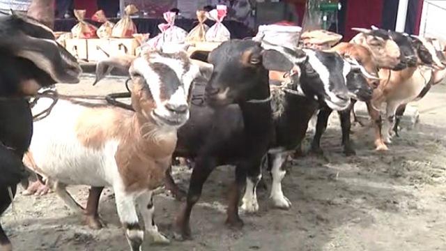 রোহিঙ্গাদের জন্য উপহার পাঠালেন প্রধানমন্ত্রী